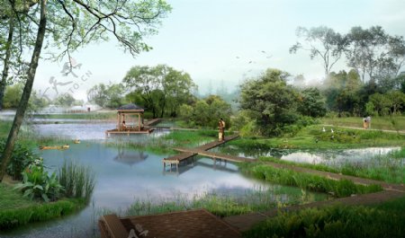湿地公园环境设计
