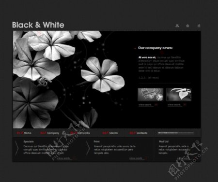 黑白花瓣flash网站模板