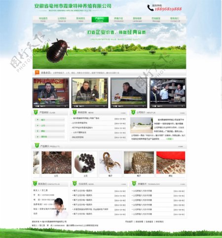 亳州土元养殖网页模板