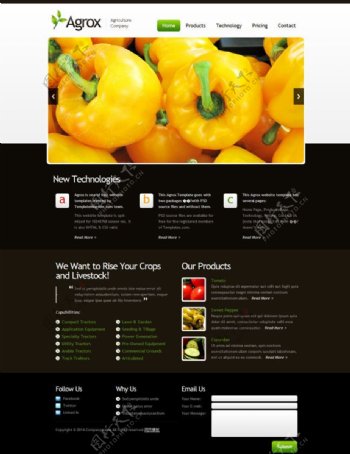 蔬菜类网站模板