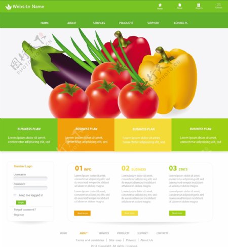 蔬菜网页设计图片