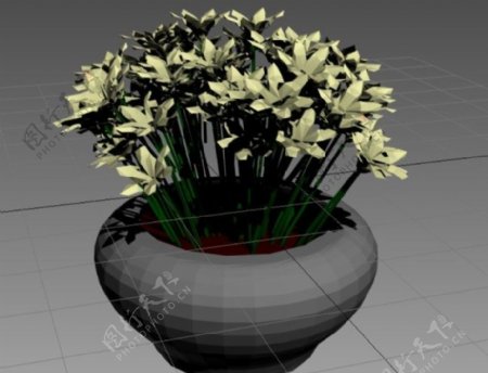 3DMAX室内植物模型