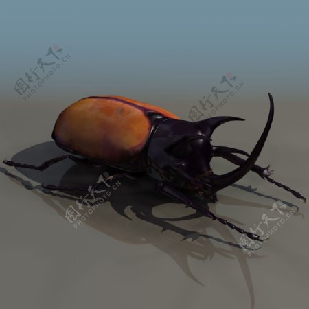 BEATLE甲虫模型带贴图