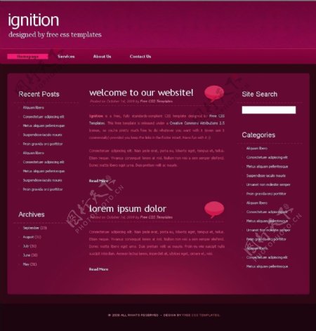 玫瑰色BLOG信息网页模板