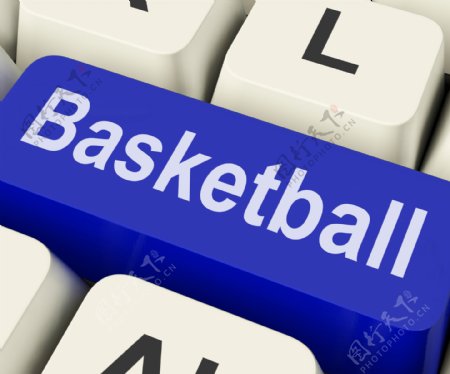 篮球核心显示篮球在Internet或Web