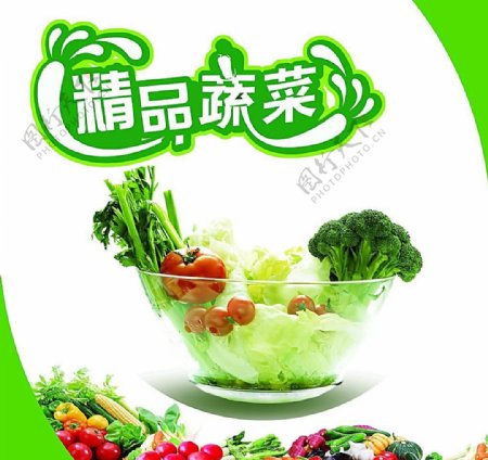 精品蔬菜背景画图片