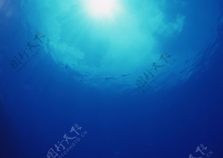 深海生物鱼光线气泡图片