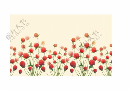 唯美罂粟花卉装饰壁纸图案