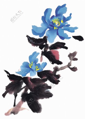 蓝色菊花水墨画