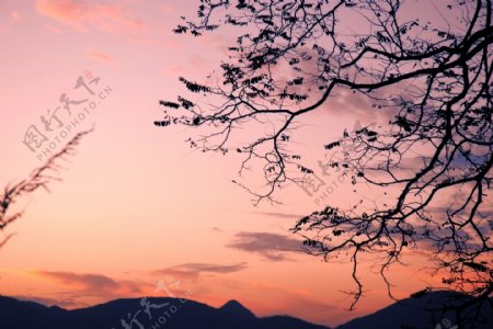 长岭岗风景图片