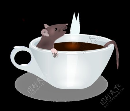 大鼠在咖啡
