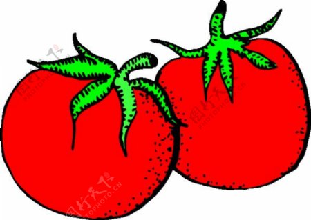 西红柿的剪辑艺术