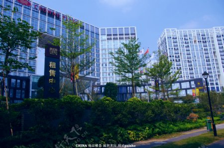 城市楼景珠江国际中心图片
