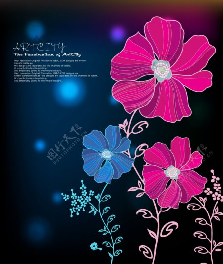 韩国花卉ai矢量图