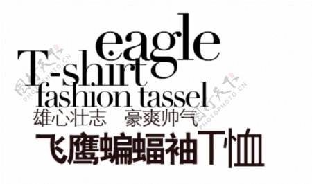 飞鹰蝙蝠袖T恤淘宝文字描述素材