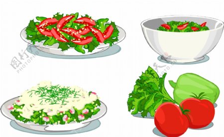 精美蔬菜沙拉矢量素材