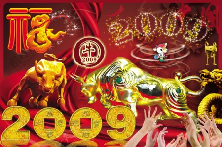 牛2009图片