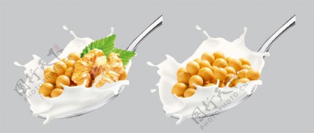 大豆核桃牛奶汤匙图片