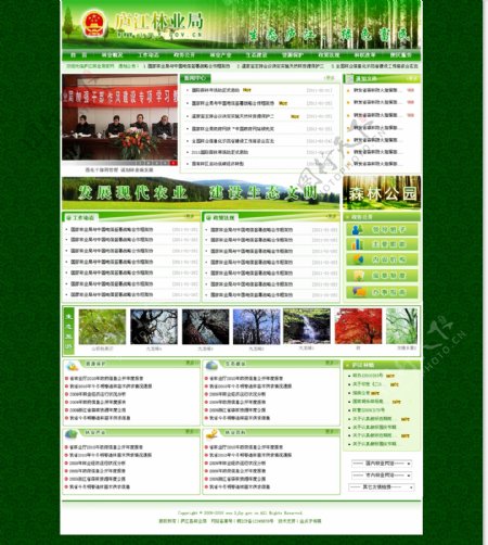 绿色林业局环保网站网页模板图片
