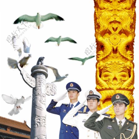 三军仪仗队鸽子海鸥华表龙纹图片