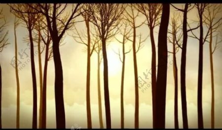 树木转动背景视频素材图片