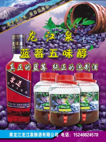 蓝莓酒宣传图片