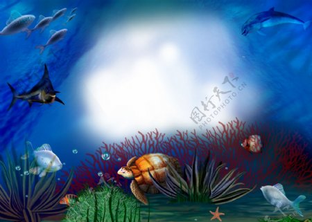 海底世界精品相框图片