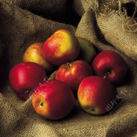 红苹果静物水果静物麻袋衬布七只苹果摆放