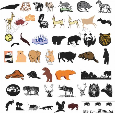 熊猫狗熊麋鹿森林动物图片