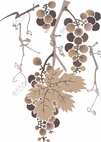 AI矢量图多款植物花黑白矢量花纹边框鸟类蝴蝶花朵树叶水墨葡萄