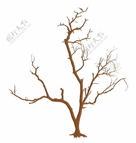 创造性的死树的树枝