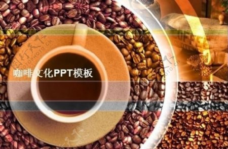 咖啡文化ppt模板图片