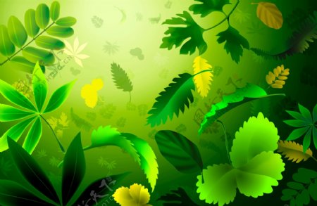 树叶绿色植物叶子枫叶绿叶PSD分层素材源文件韩国花纹图库