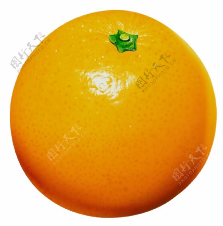 PSD水果橙子抠图格式
