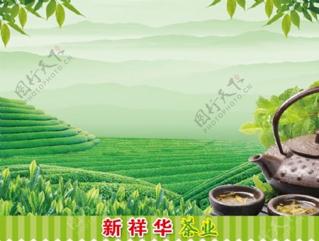 新祥华茶业图片