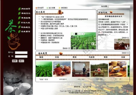 茶叶网站茶韵图片