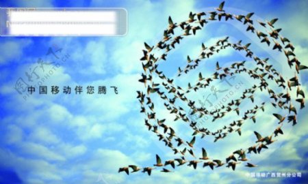 中国移动广告中国移动广告标志贺州分公司鸟PSD分层素材源文件库300DPIPSD广告设计模板国内广告设计
