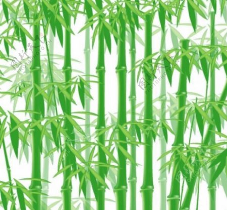绿林竹向量