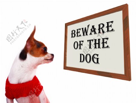 当心狗保护和警告标志