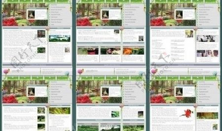 欧美绿化网页图片