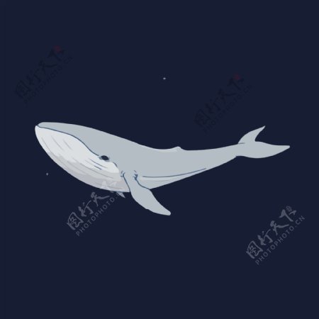 印花矢量图动物鲨鱼艺术效果水彩免费素材