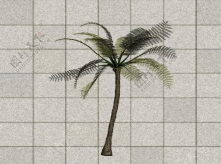 热带植物3D模型图片