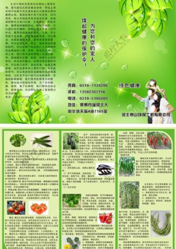 绿色背景有机蔬菜宣传图片