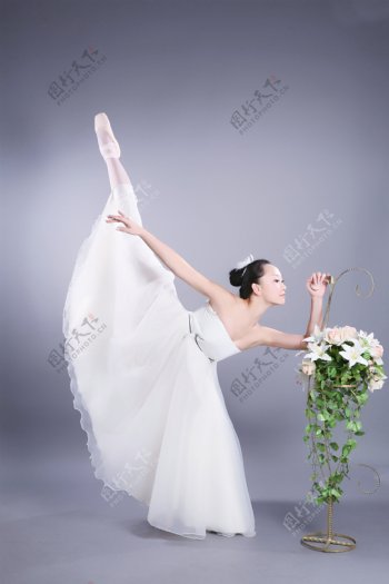 芭蕾仙子图片