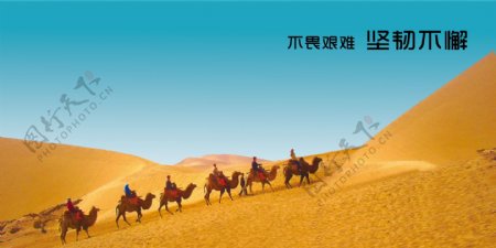 沙漠骆驼banner素材PSD源文件