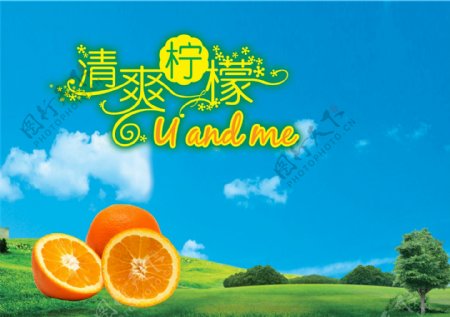 清新柠檬系列