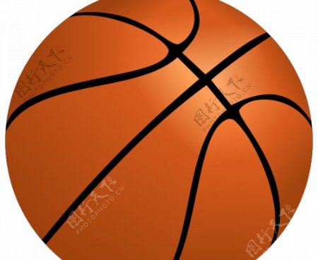 篮球球矢量图像