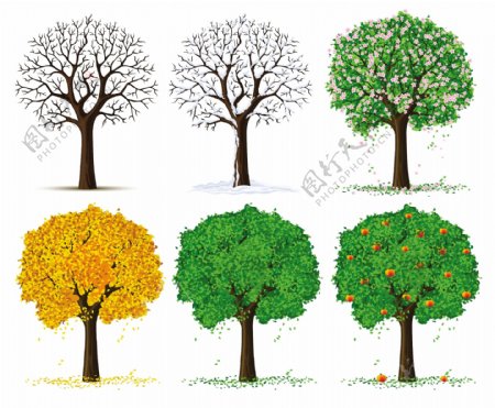 四个季节的树