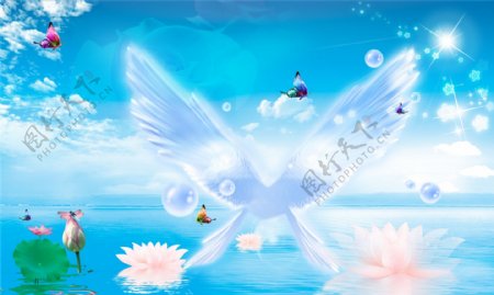 天使之翼图片