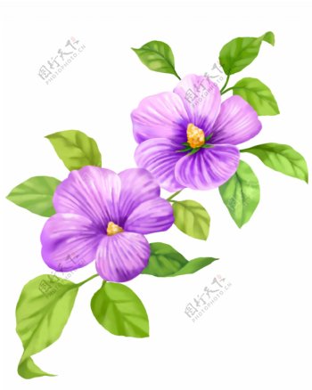 时尚紫色小花朵4